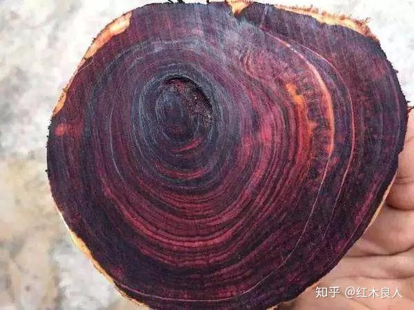 大红酸枝、黑酸枝、白酸枝……14种酸枝木的特征与鉴别 - 知乎