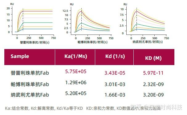 如下图所示,相较于其他药物,百泽安对pd-1的亲和