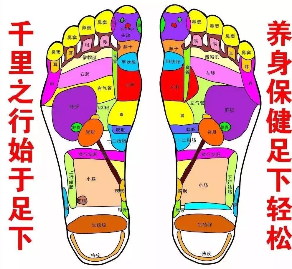 这款鞋垫的设计比较有美感符合人体足部工学设计将脚趾,脚掌,脚心的