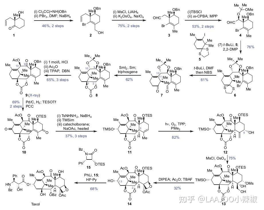 紫杉醇分子量图片