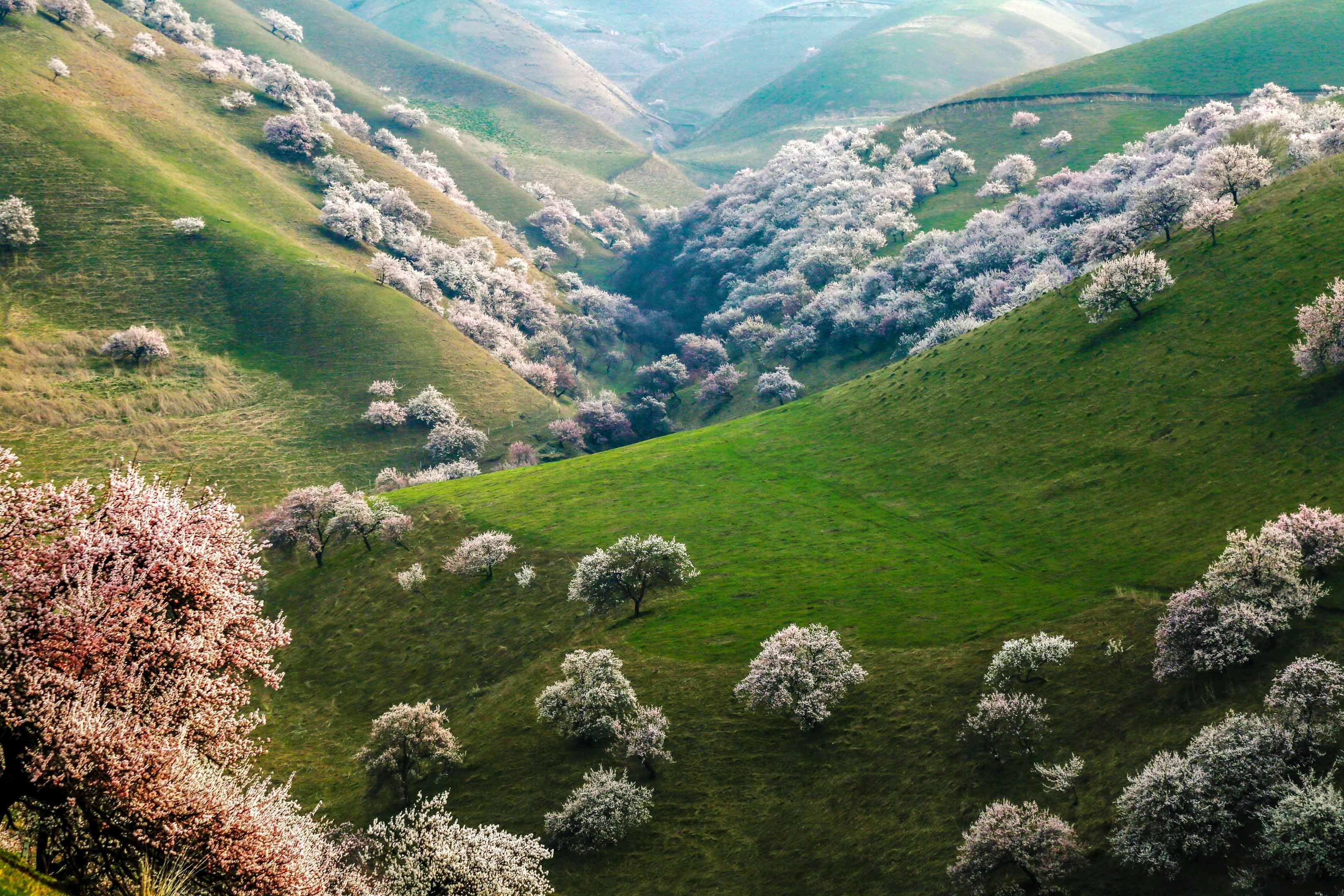 天山的秘密四月新疆马背旅行遇见最美杏花沟