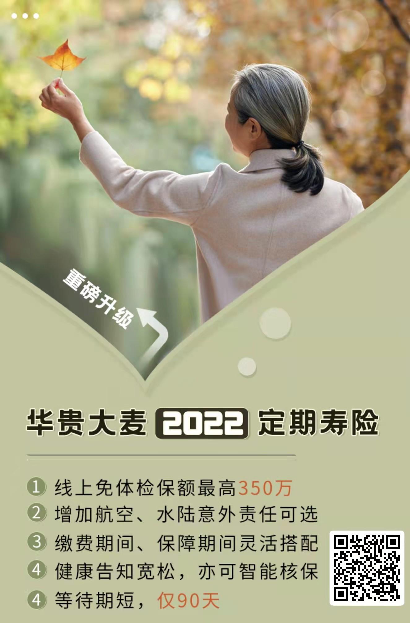 保险评测005定期寿险华贵大麦2022