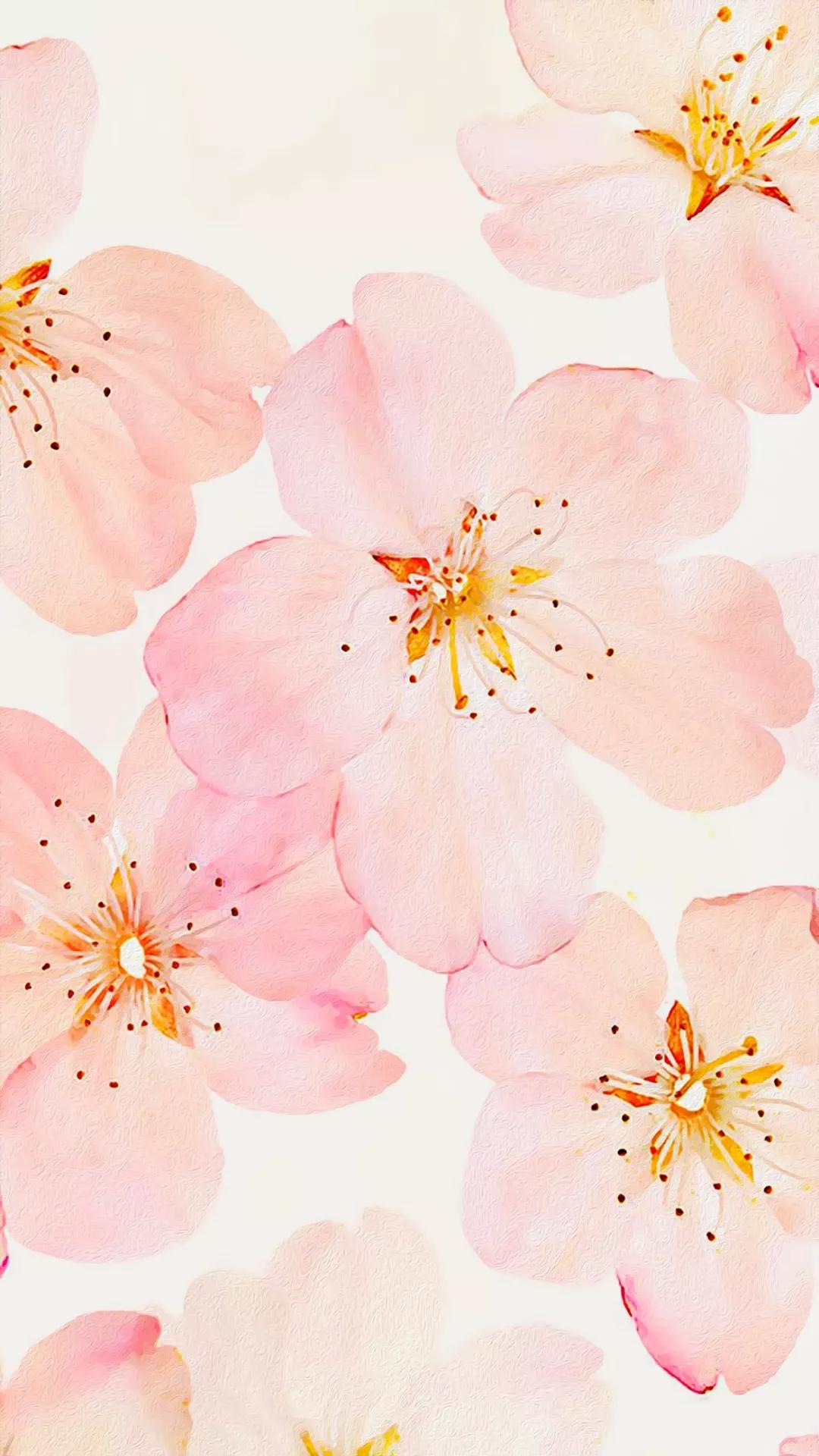 中国传媒大学mfa电视编导初复试经验分享 一战成硕学渣逆袭 知乎