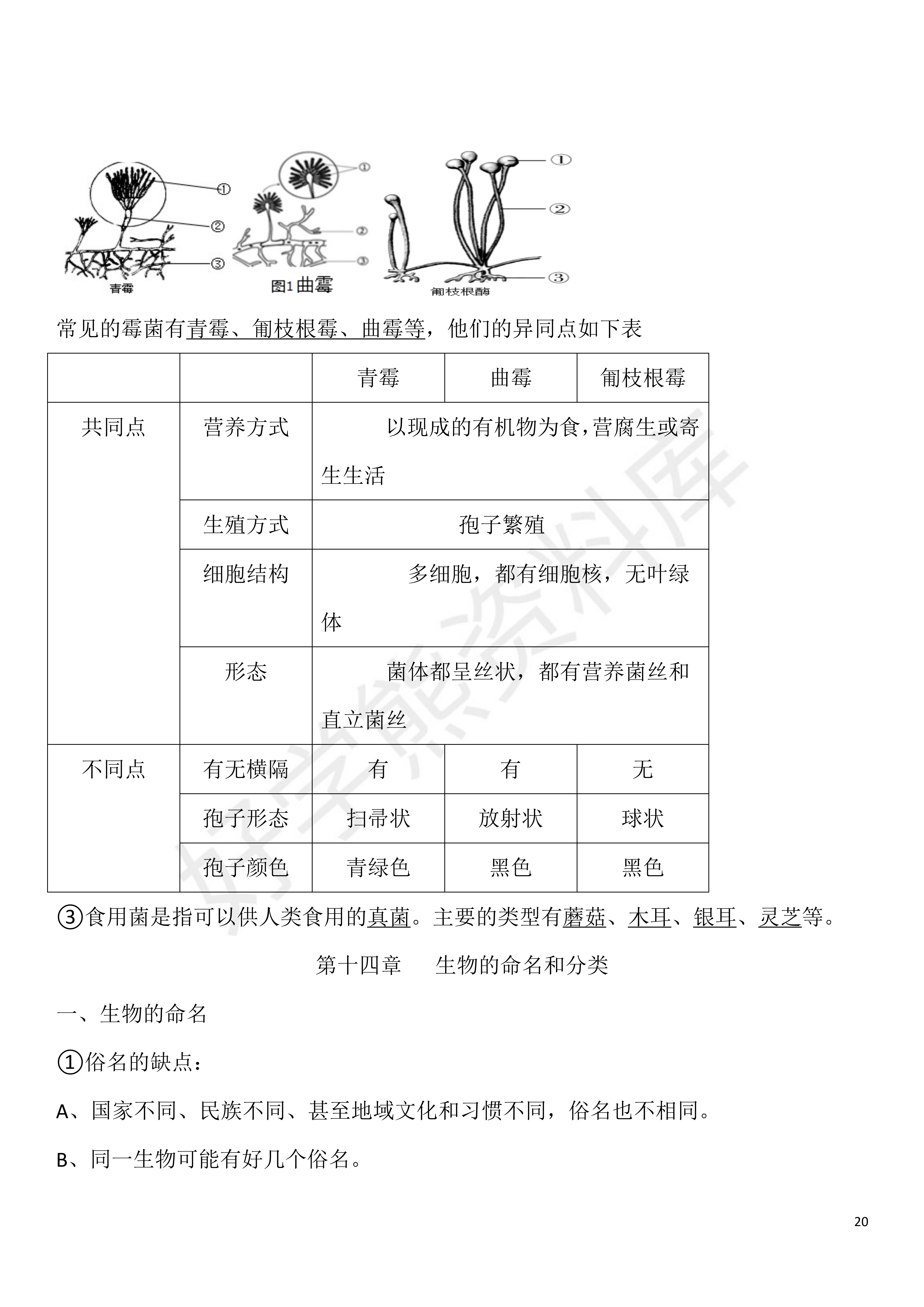 期末考試蘇科版七年級下冊生物期末複習知識點