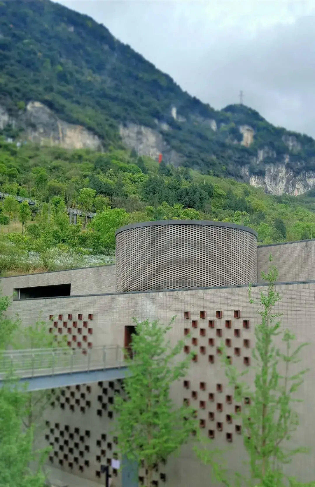 2020年首批消费者走进郎酒庄园探秘春色里的青花郎