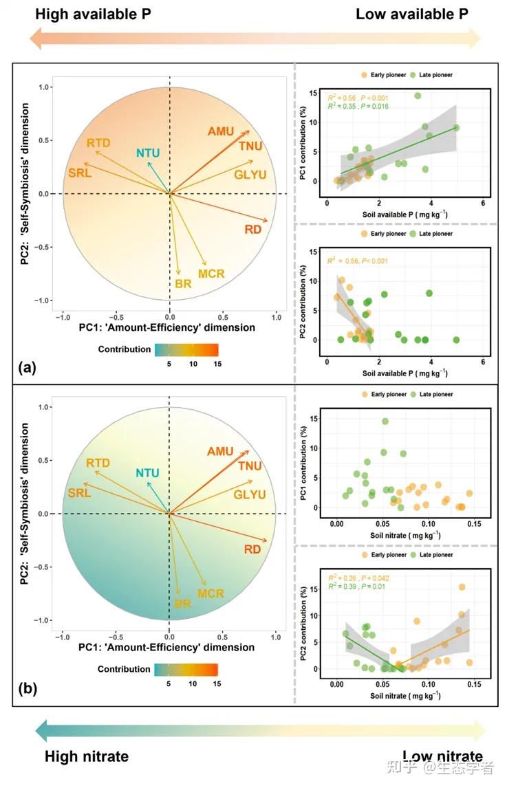 New Phytologist 地理资源所寇亮、王辉民研究员等揭示演替早期森林根经济空间及物种共存地下基础 知乎 