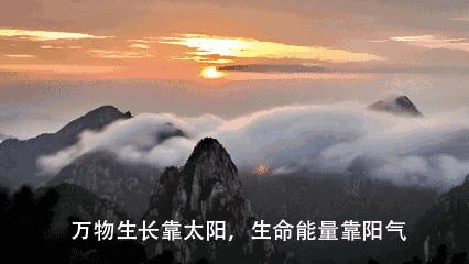 养生就是养阳气站桩让阳气生发