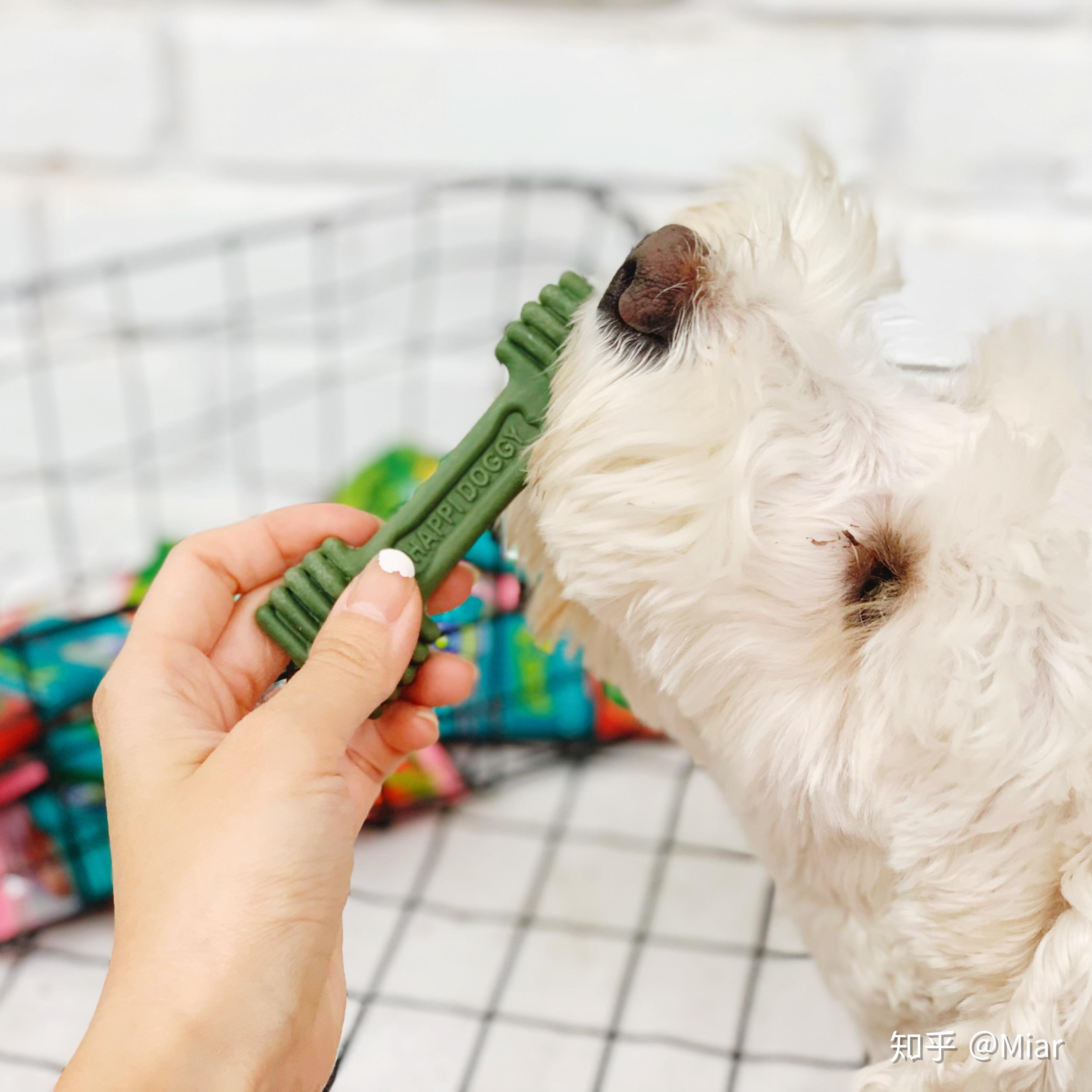 狗狗洁齿棒磨牙棒零食大评测