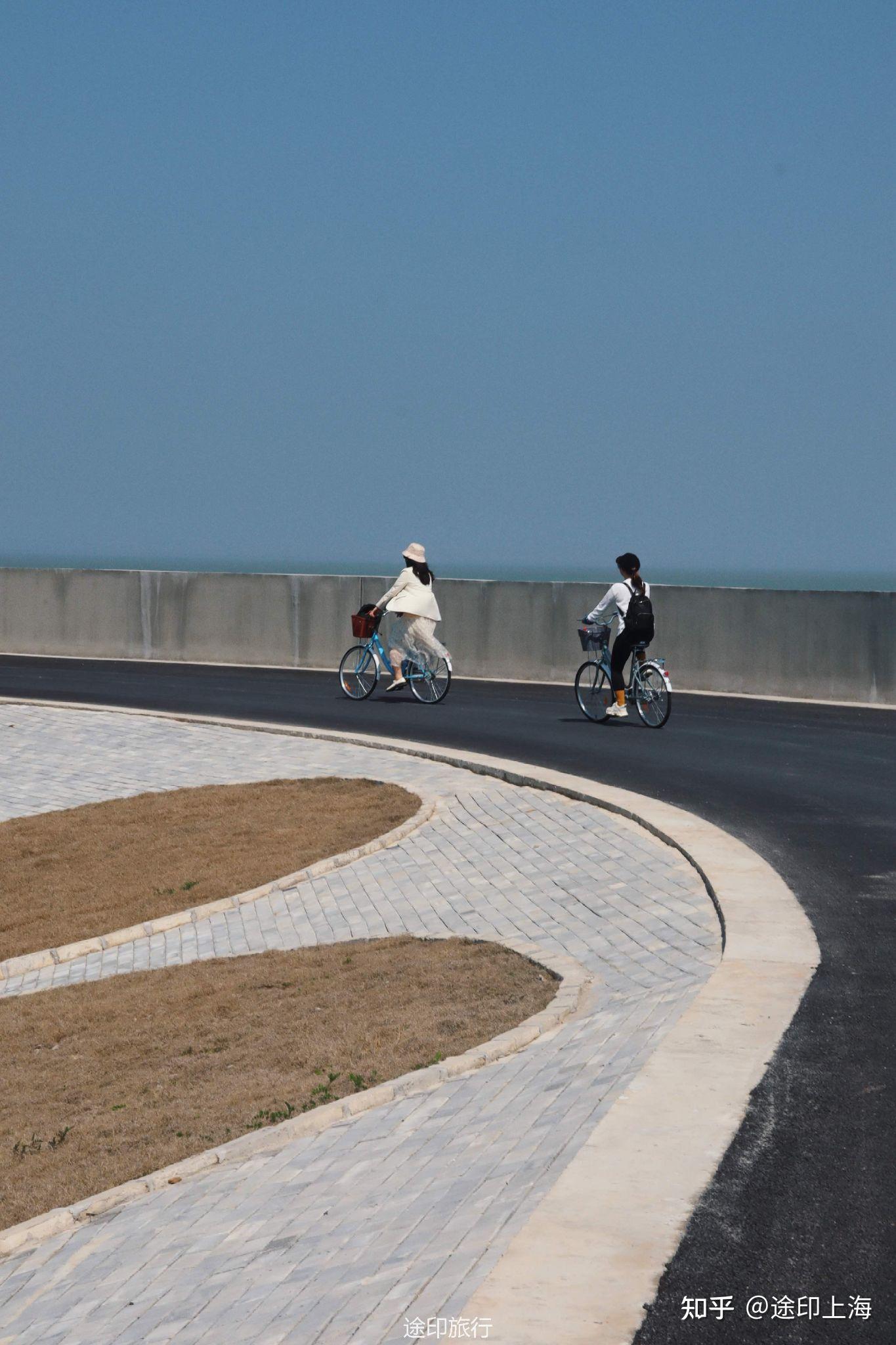 上海解封第一站横沙岛骑行吹海风抓螃蟹