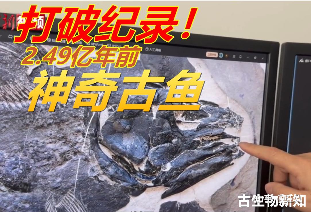 这种古鱼化石的发现创造了新记录！ - 知乎
