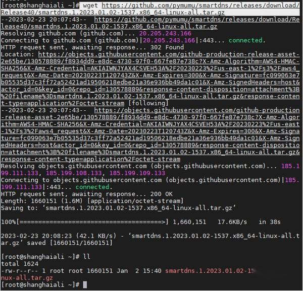 Openvpn smartdns opendns or smartvpn 