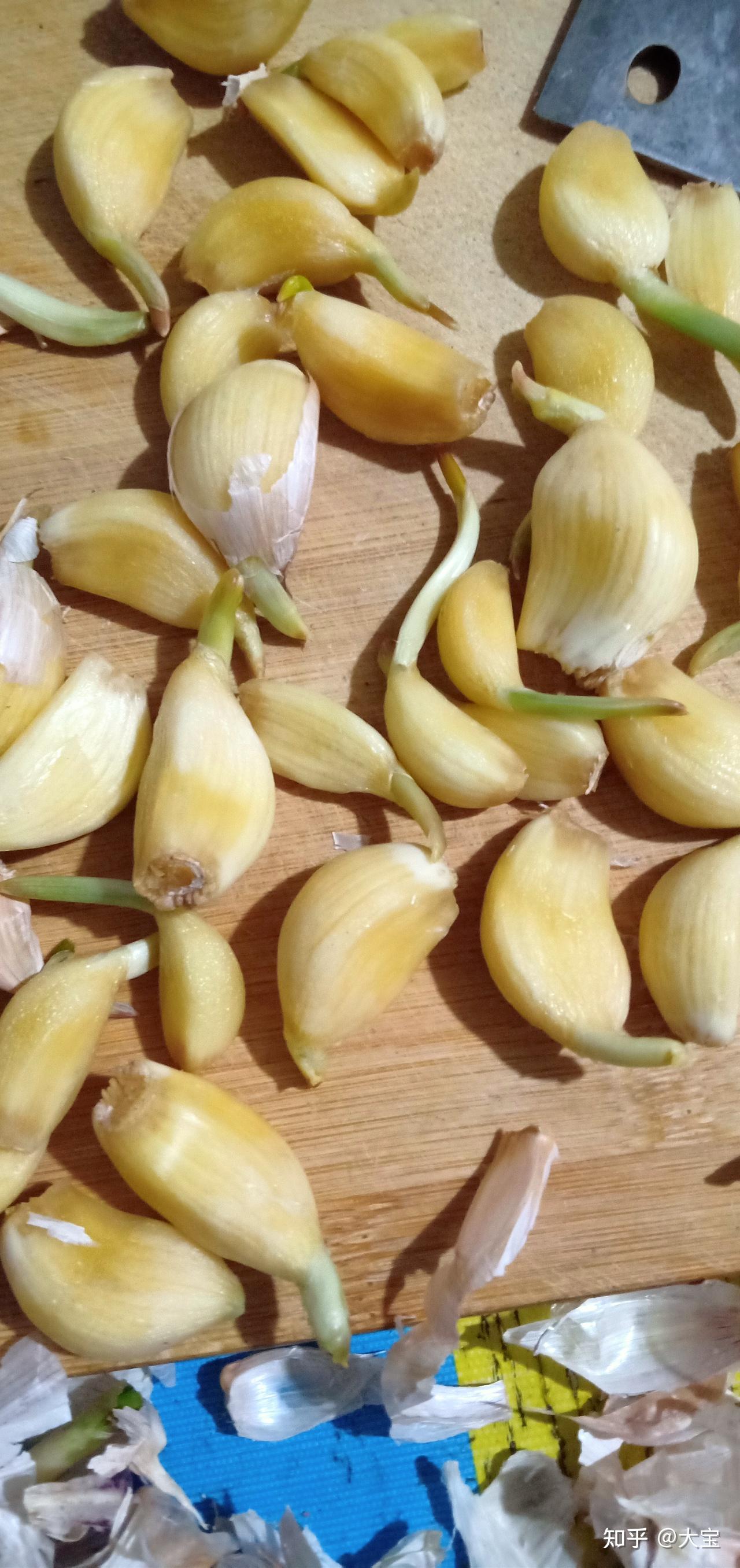 蒜在室外冻了变成这样的了还能吃吗腌腊八蒜呢