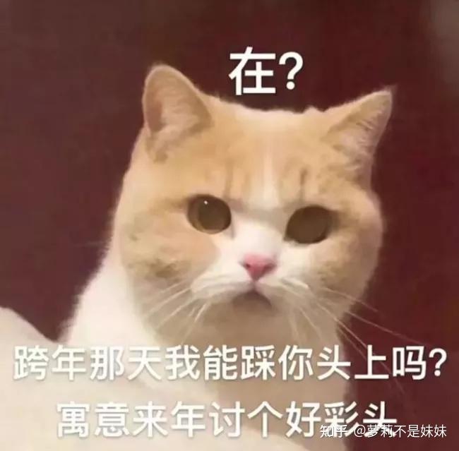 二,沙雕篇