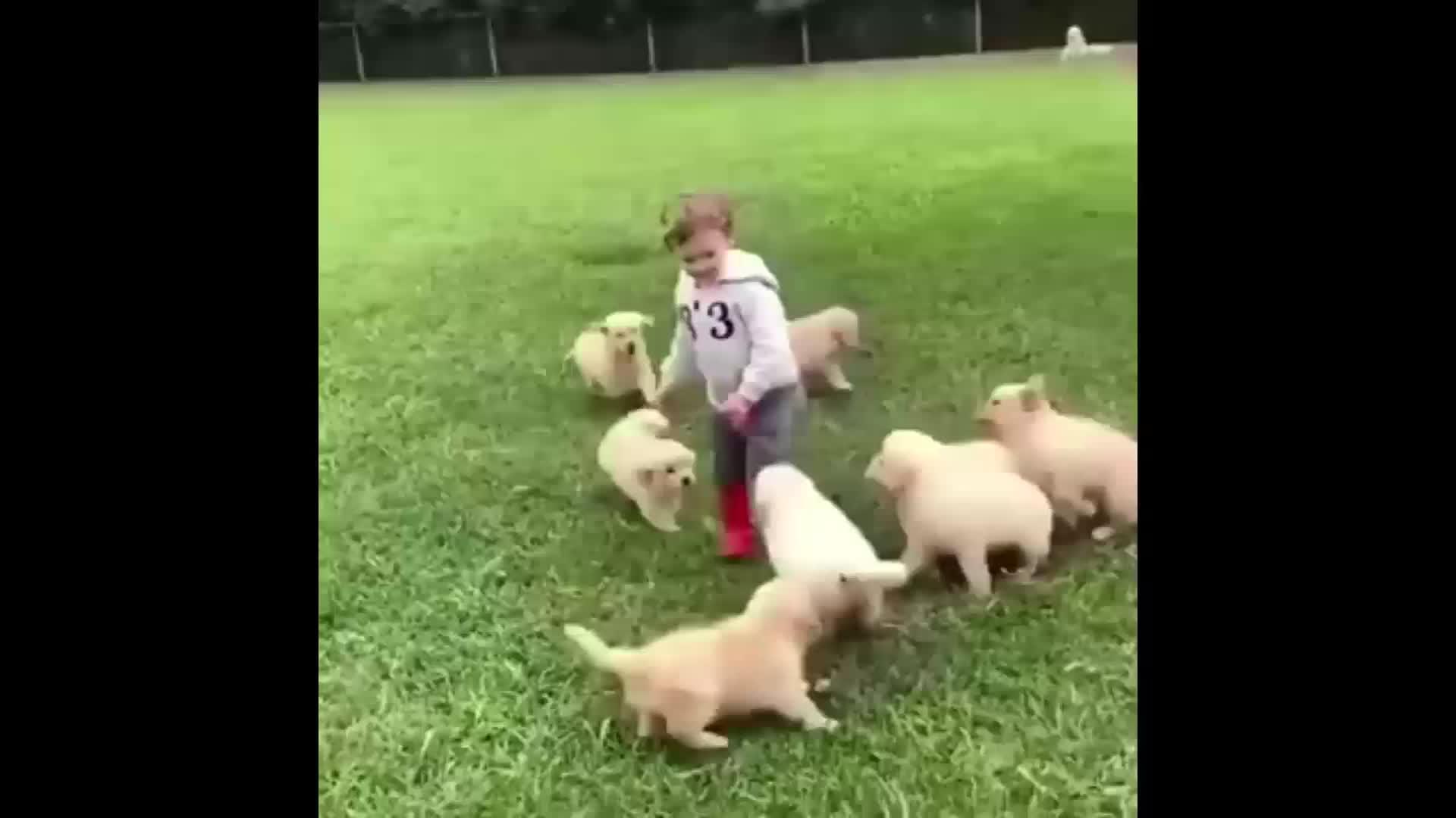 v2-4ee126e650bbfb5e743711b49d91a5af.jpg