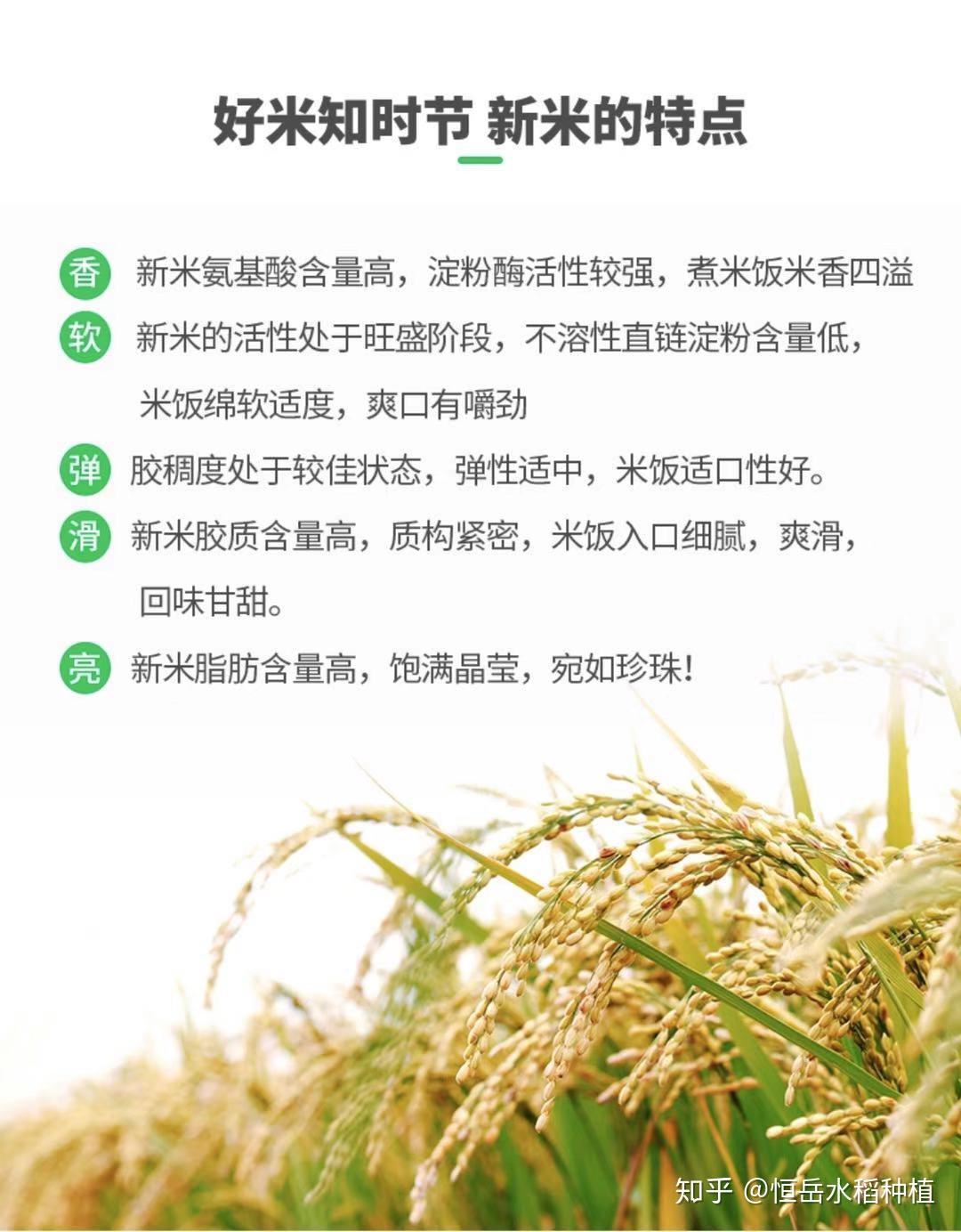 五常稻花香大米