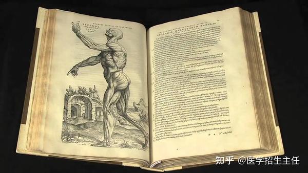 聊聊医学史上那些璀璨的光点 - 知乎