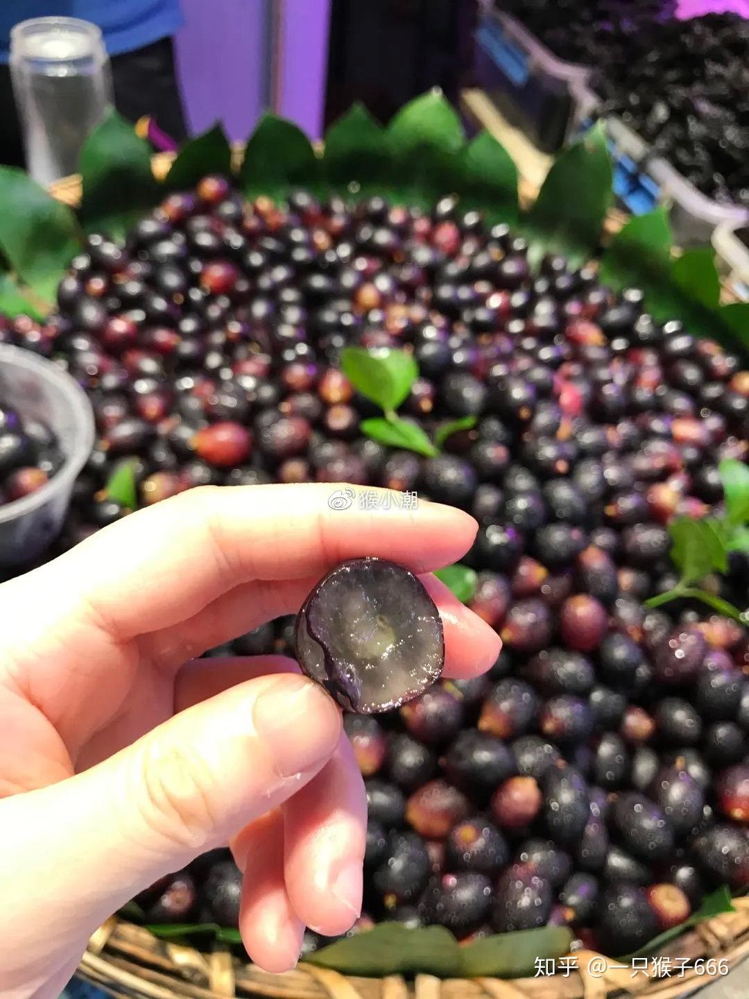 今天我被骗了曝光惊天大骗局景区的新鲜乌梅千万不要买请扩散转发