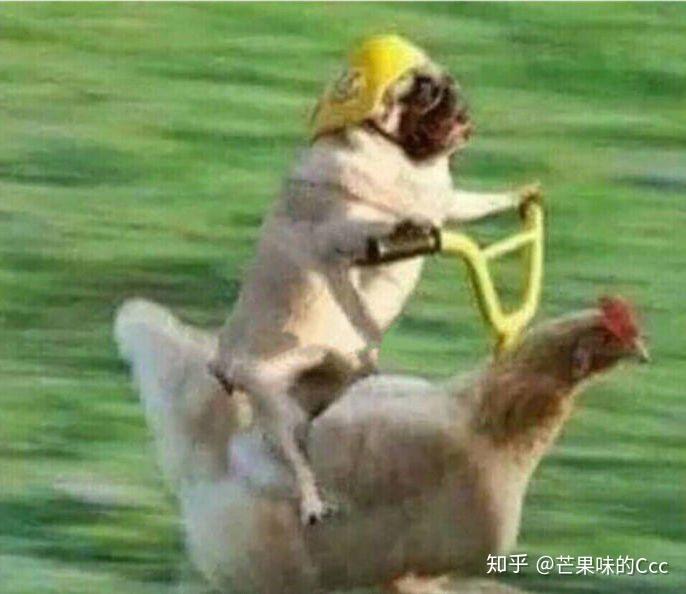 如果在高考考场上监考老师突然晕倒 你会怎么