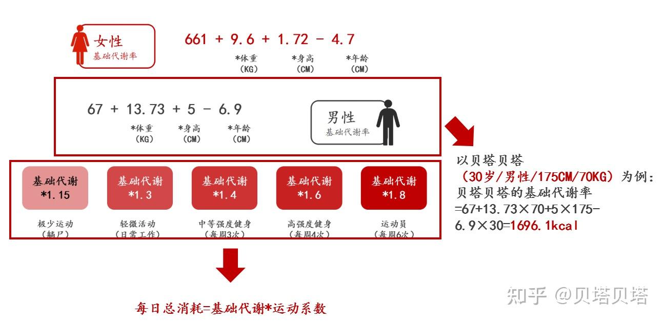 基礎代謝到底重不重要一篇文章告訴你關於bmr你需要知道的一切