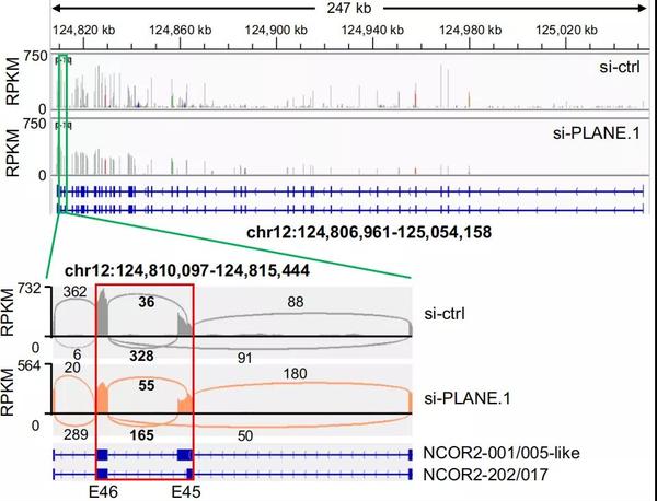 前沿进展 | lncRNA与癌症研究集锦 - 知乎