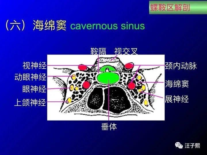 鞍区及海绵窦占位切除术   窦修补术   经鼻双侧视神经减压术