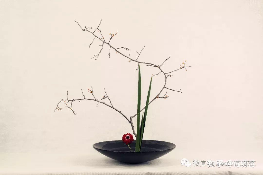 东方花艺自然线条构图之美