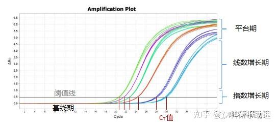 蛋白实验 大家在 qpcr 实验过程中,是否会经常遇到异常 扩增曲线 和