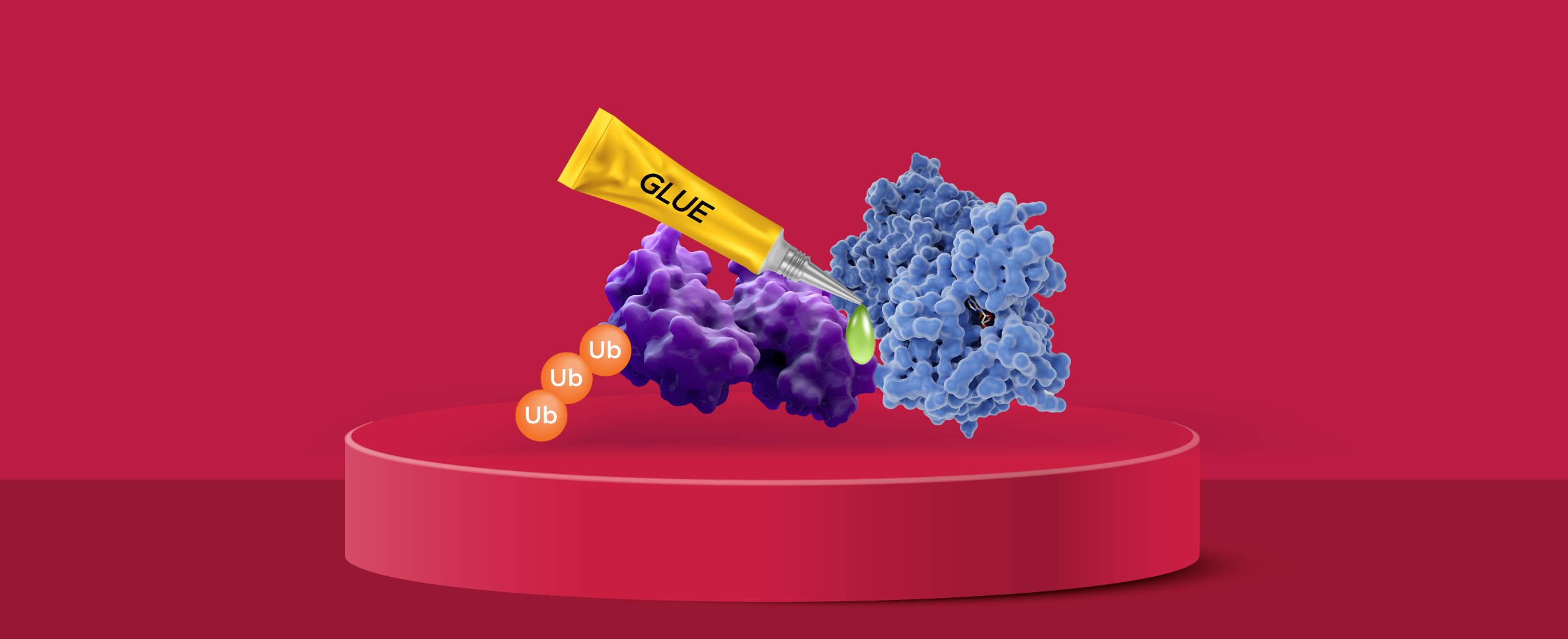 高达146亿美元诺和诺德与neomorph合作开发多个新型分子胶