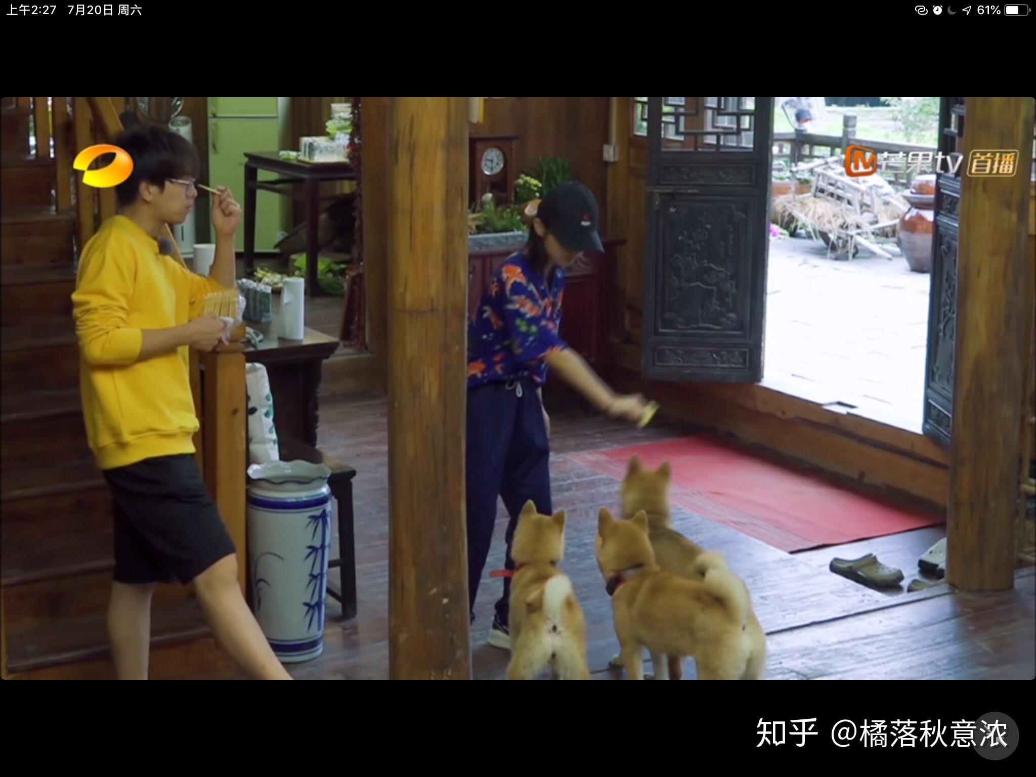 蘑菇屋第一季在哪里播放 v2-4f39cb90fb63622c8f567df0ec5ea09f_r.jpg