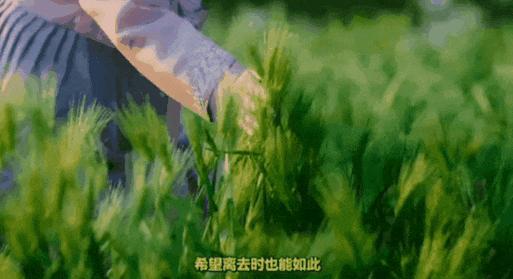 韩国电影《郊游》尺度炸裂,韩影又出猛片