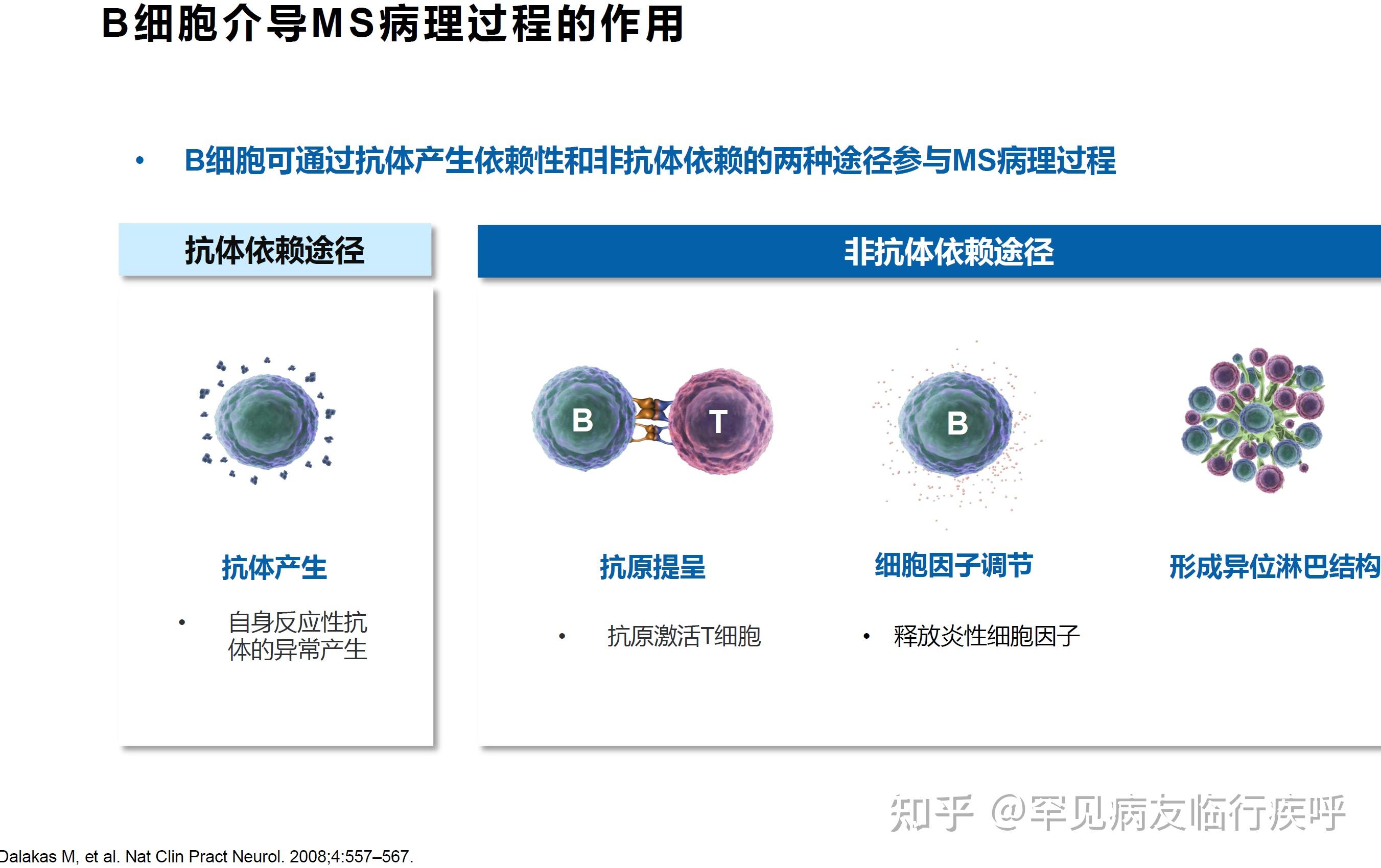 非抗體依賴途徑