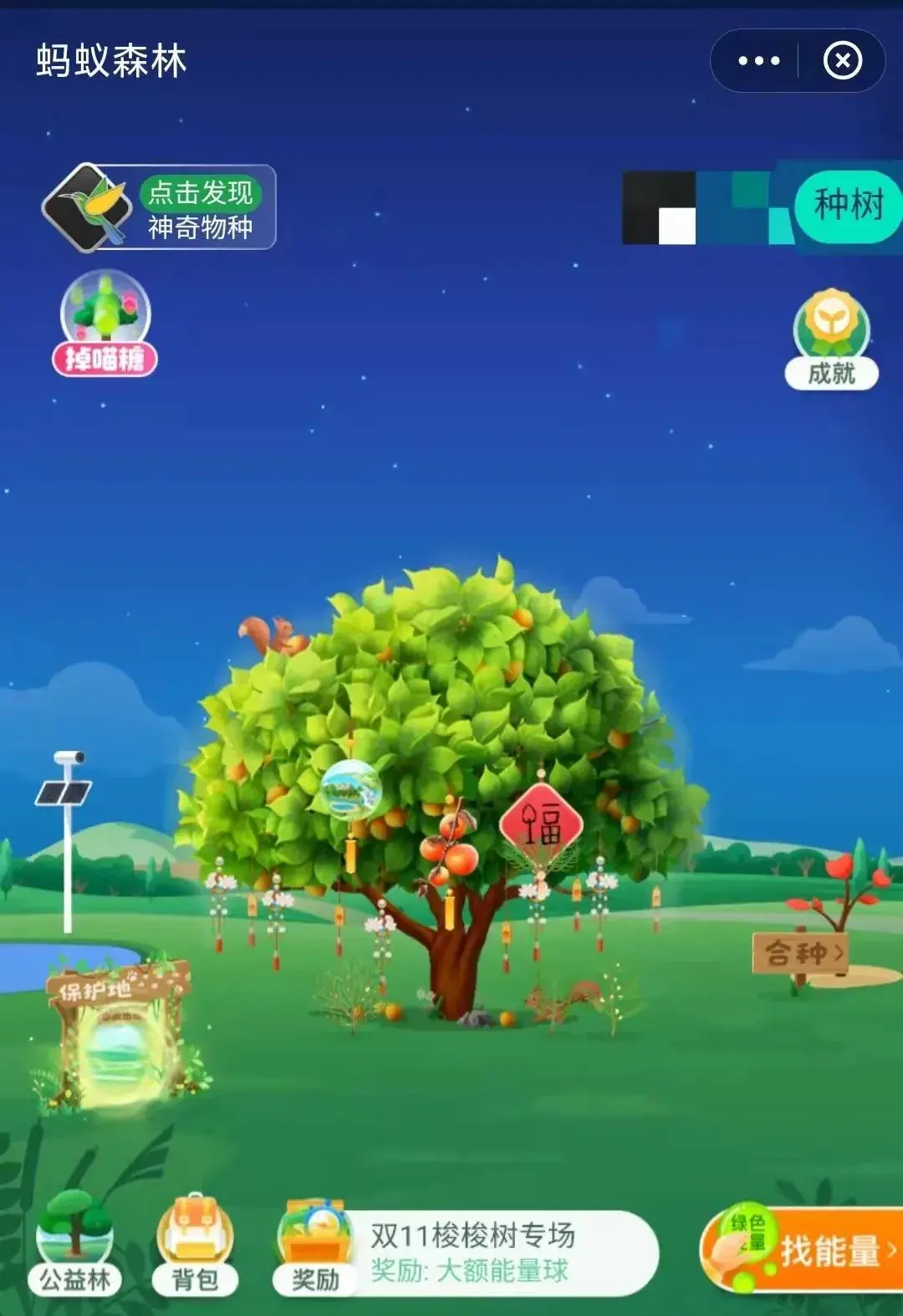 蚂蚁森林怎么才能获得更多的能量球种更多的树