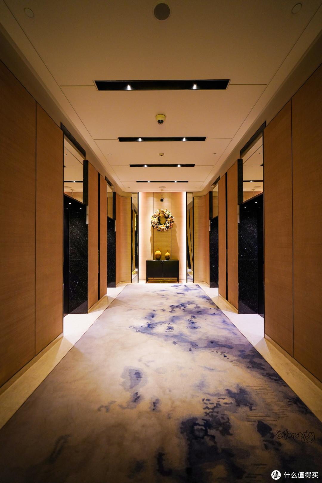 为了这只母老虎我放弃了4800块一晚的套房上海环球港凯悦酒店体验