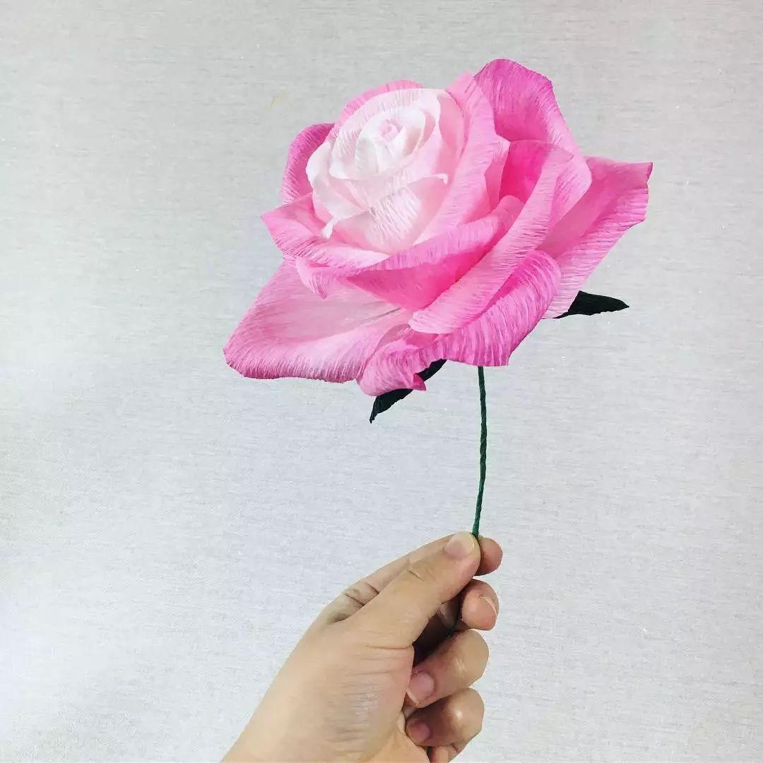 《知否》丨明兰收"象生花"乐开花?这不是永生花吗?(二)