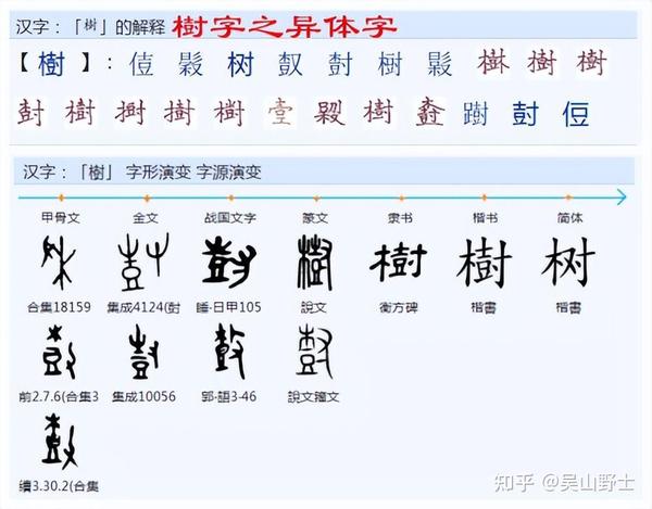 “树”字的构成与本义是什么? - 知乎