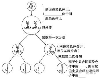 v2-4f7a715fbab5f3db4771a1210229a25b_b.jpg