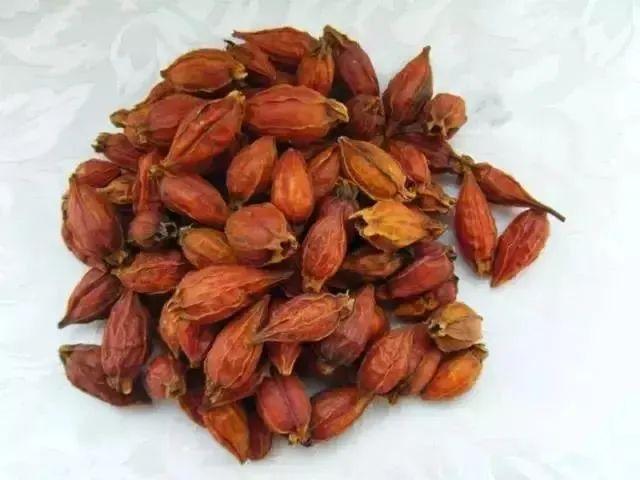 栀子，它既可以做染料，也可以药食两用 - 知乎