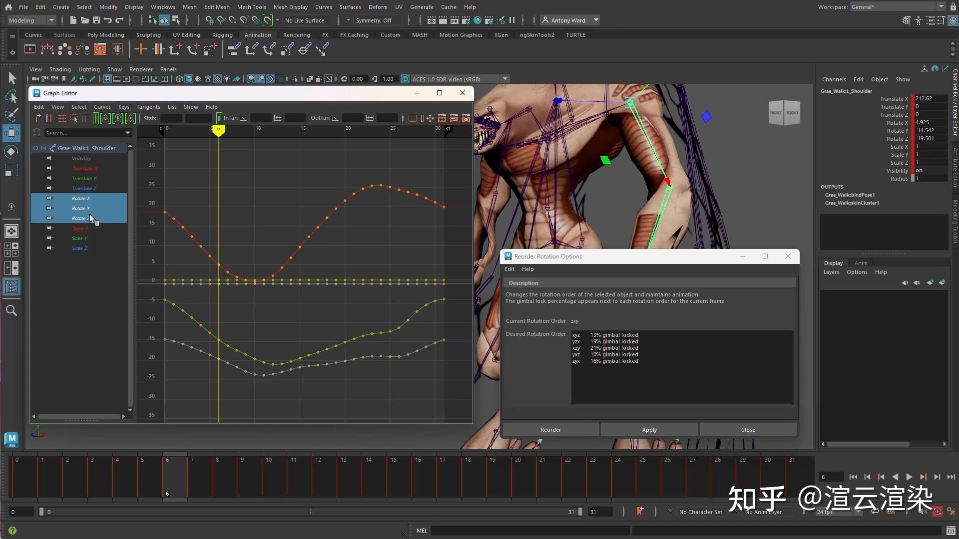 Autodesk 发布 Maya 2024，Maya 2024 更新中的解决方案 知乎