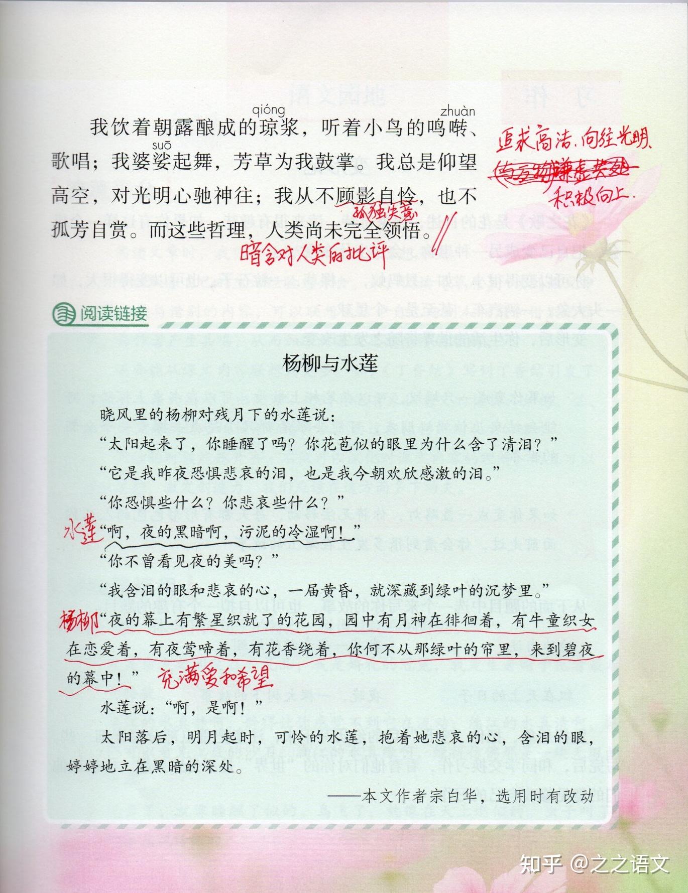 六上语文第4课*《花之歌》学习笔记 - 知乎