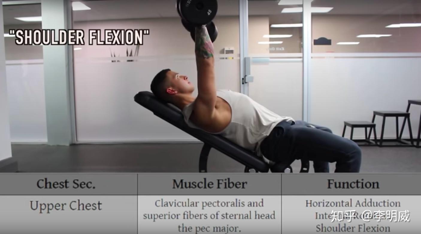 胸肌怎么科学锻炼