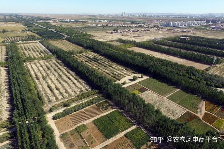 农卷风智慧农业,智能化数字化:用数据代替经验,关于风向耕作指导及耕作改善说明 - 知乎