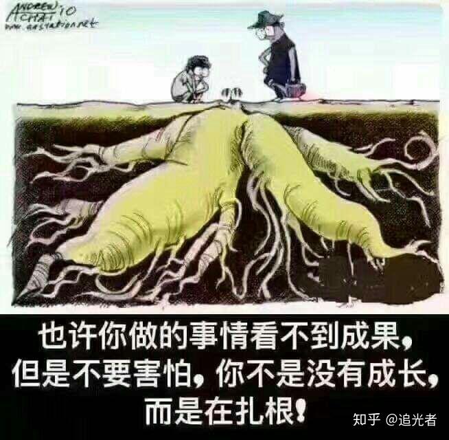 先扎根后立稳