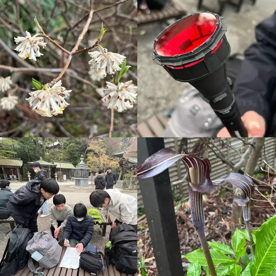 请输入图片描述