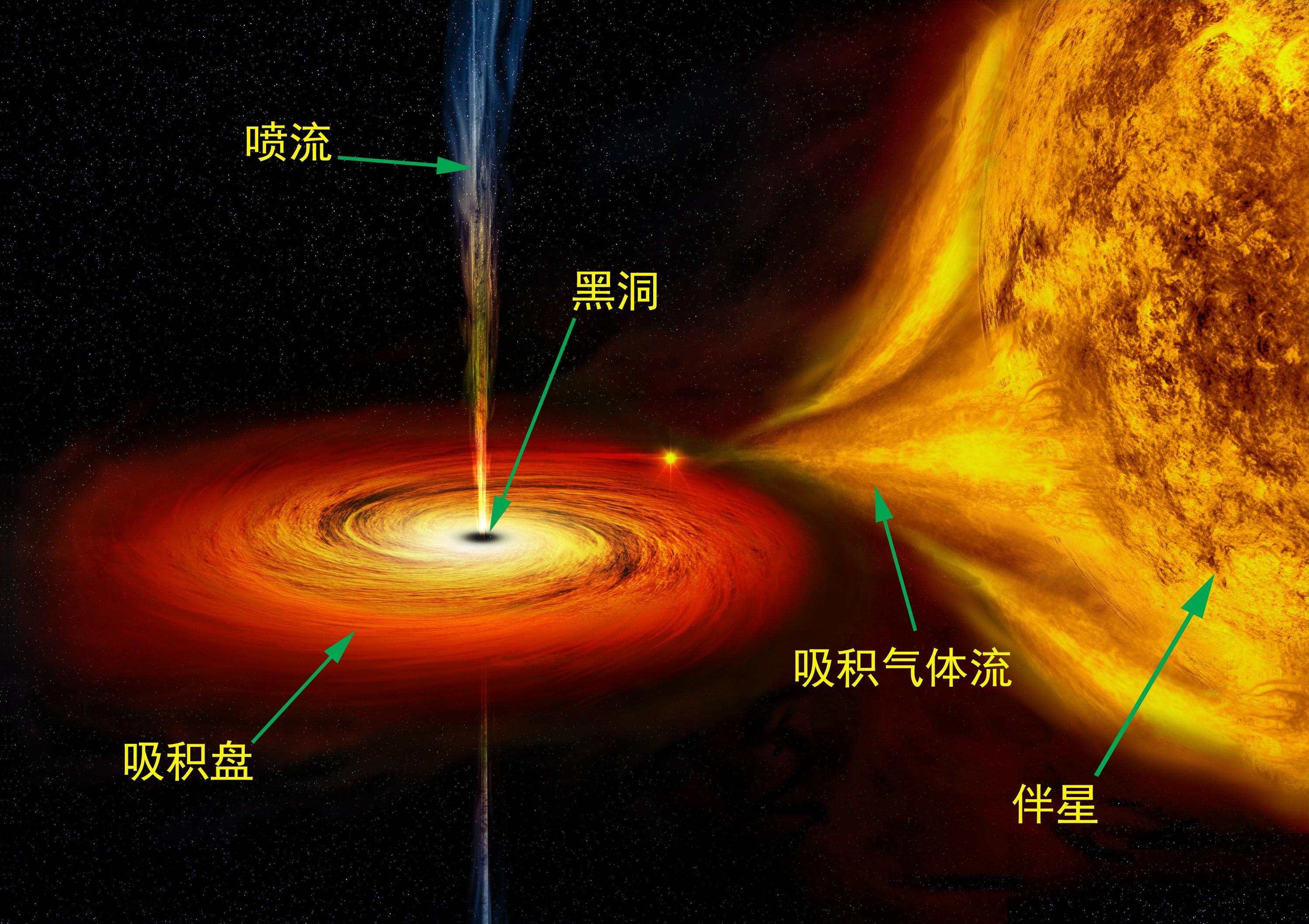 韦伯望远镜观测黑洞图片