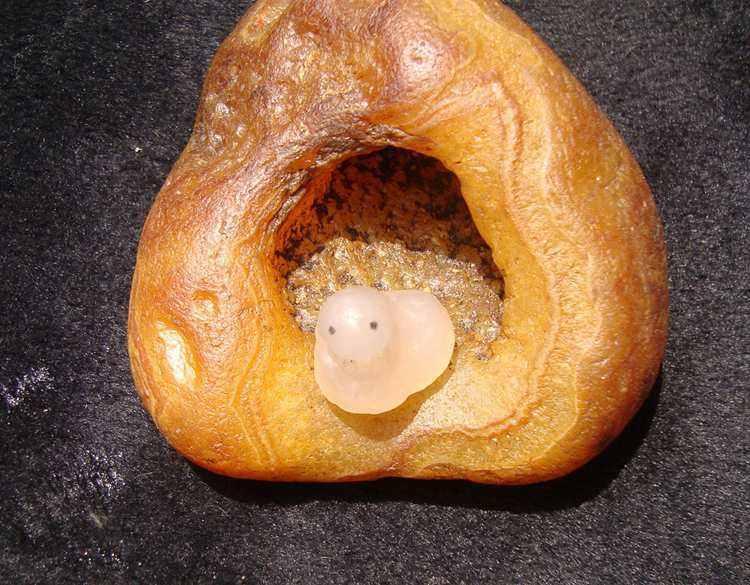 这种黄色石头,堪比玉石价值不菲,玩石头的人最好要了解一下