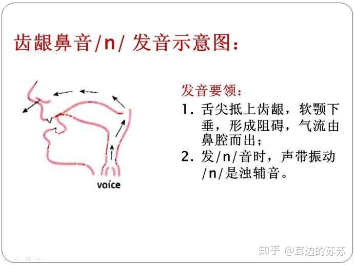 有声小说演播基础篇发音中的问题2