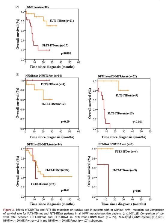flt3-itd仅在伴随dnmt3a突变时显示预后不良,而与npm1基因是否突变无