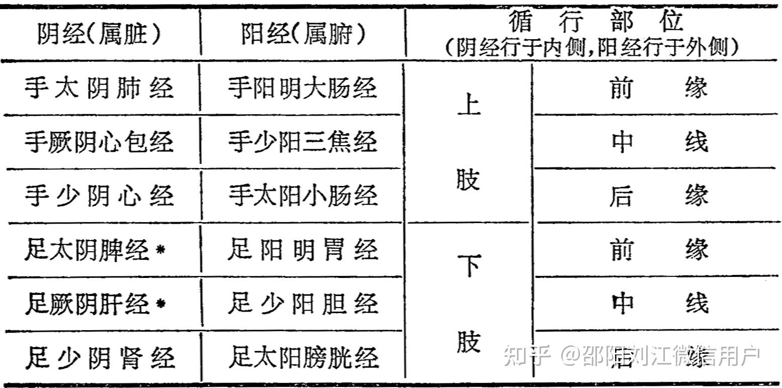 足少陽經分佈在軀幹的側面.