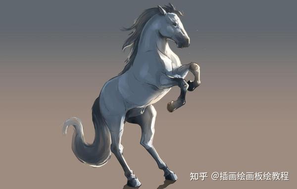 【绘画教程】板绘马怎么画？教你动物马的各种形态画法教程！ - 知乎