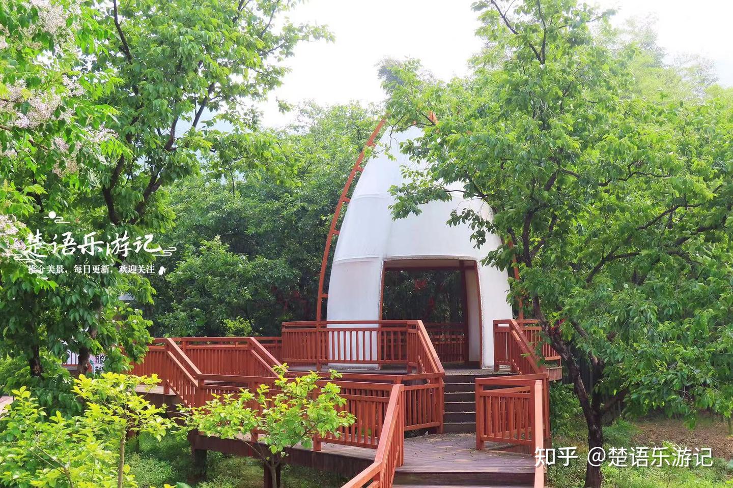 浙江绍兴这个3A级景区村庄，花海营地景色宜人，仙侠风情美不胜收 - 知乎